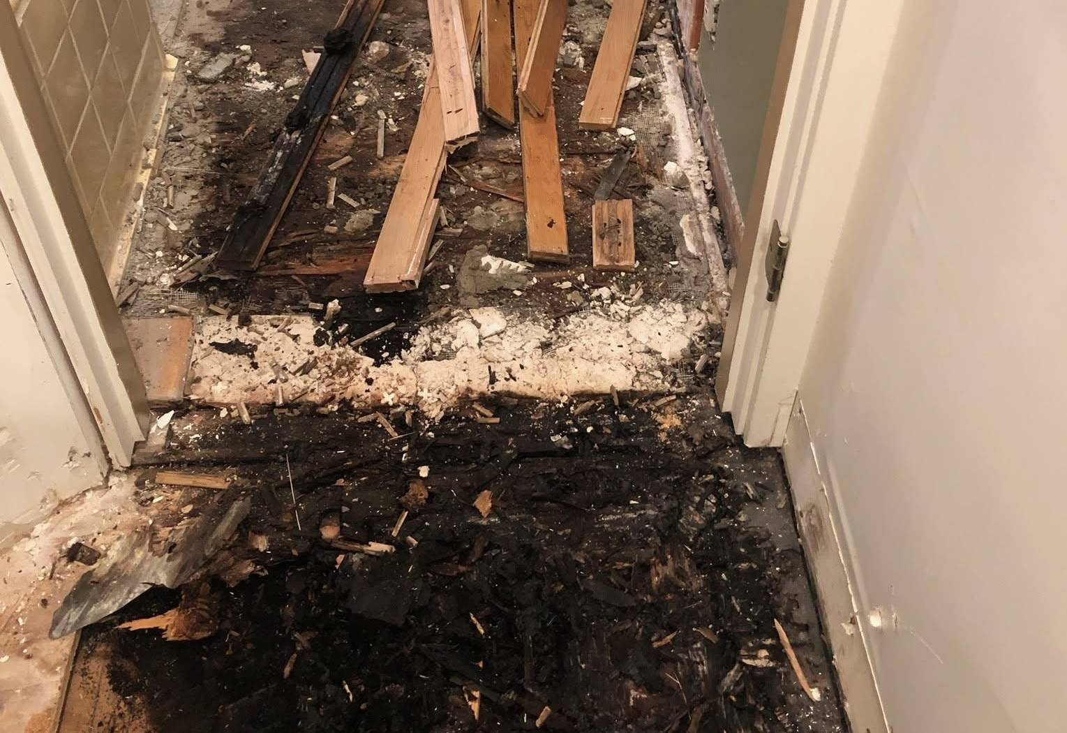 Mold Remediation